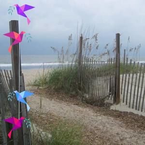 Meet your Posher, Doris